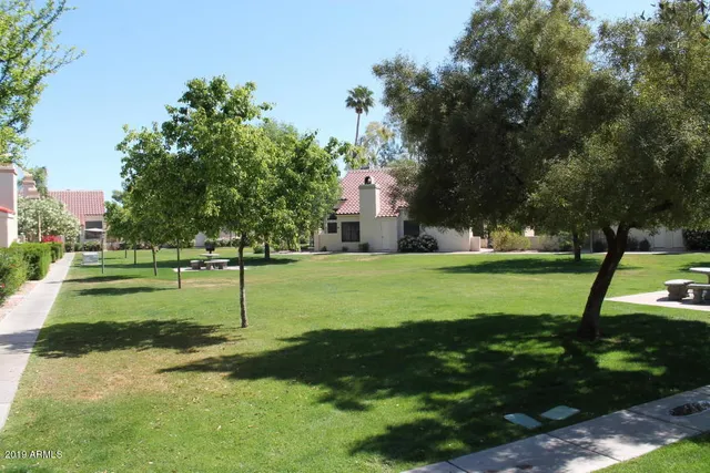 a view of a park with large trees