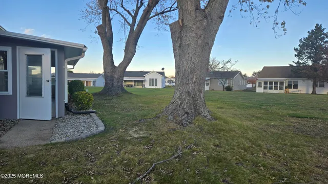 a view of a yard in front of a house with a tree