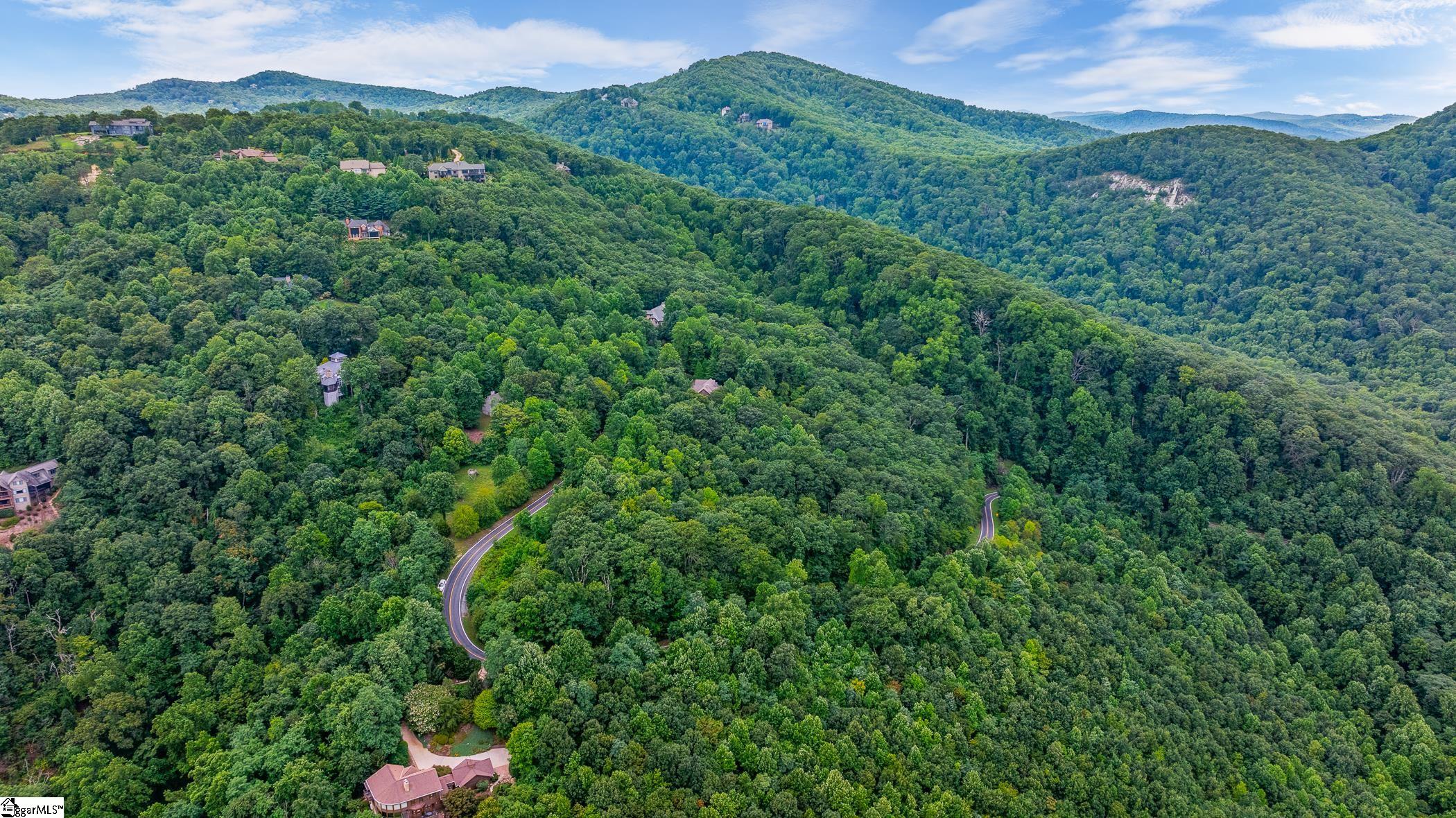 0 Foggy Cut Lane Landrum, SC 29356 - Photo 11 of 19