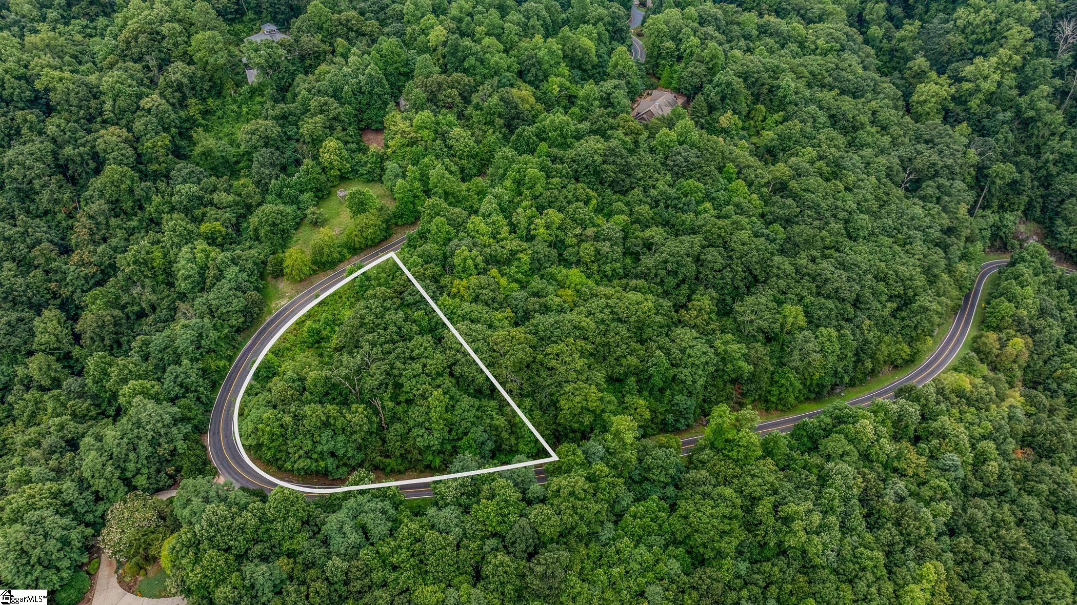 0 Foggy Cut Lane Landrum, SC 29356 - Photo 12 of 19