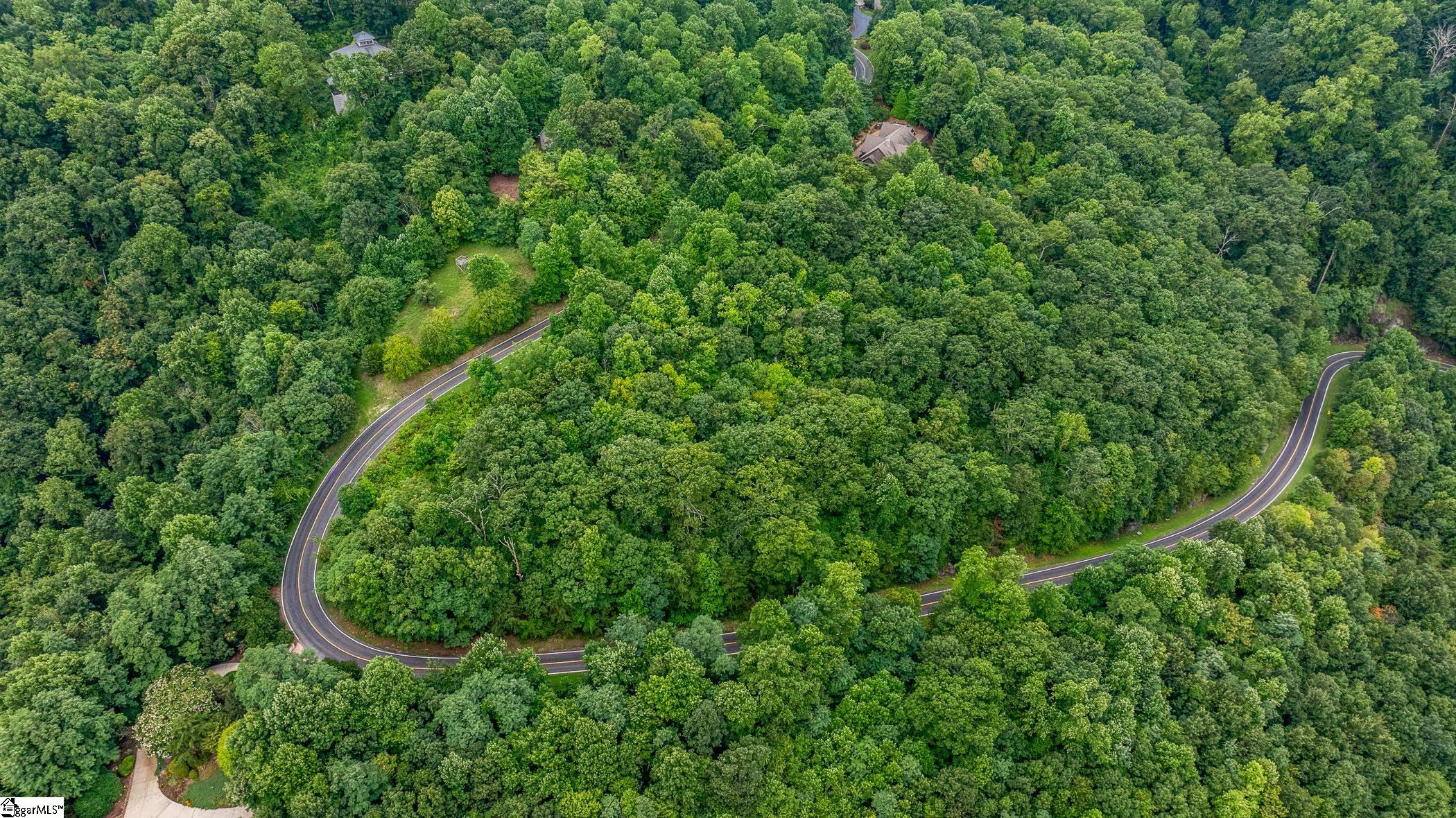 0 Foggy Cut Lane Landrum, SC 29356 - Photo 13 of 19