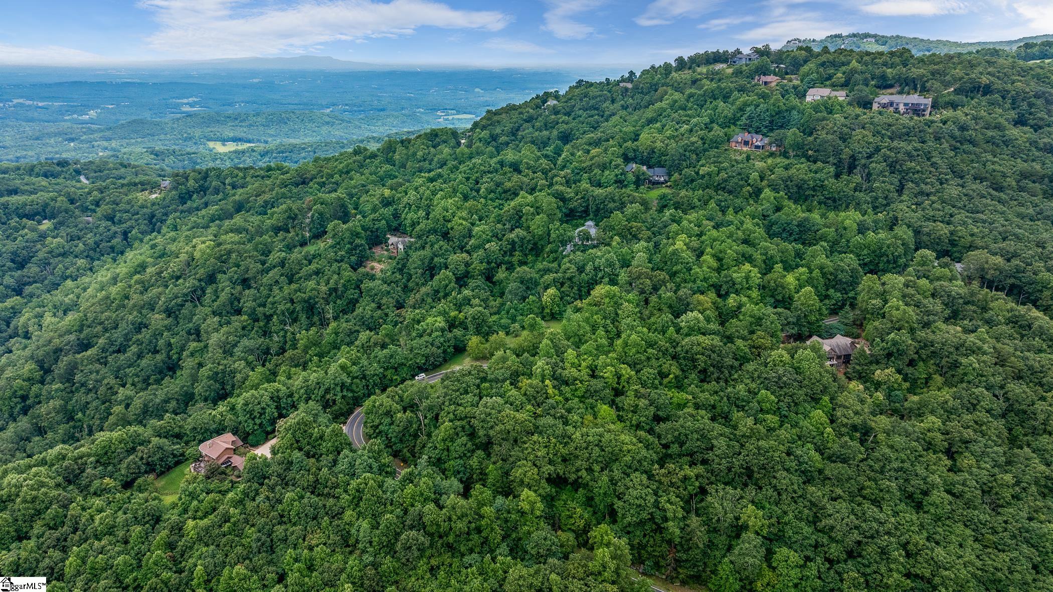 0 Foggy Cut Lane Landrum, SC 29356 - Photo 14 of 19