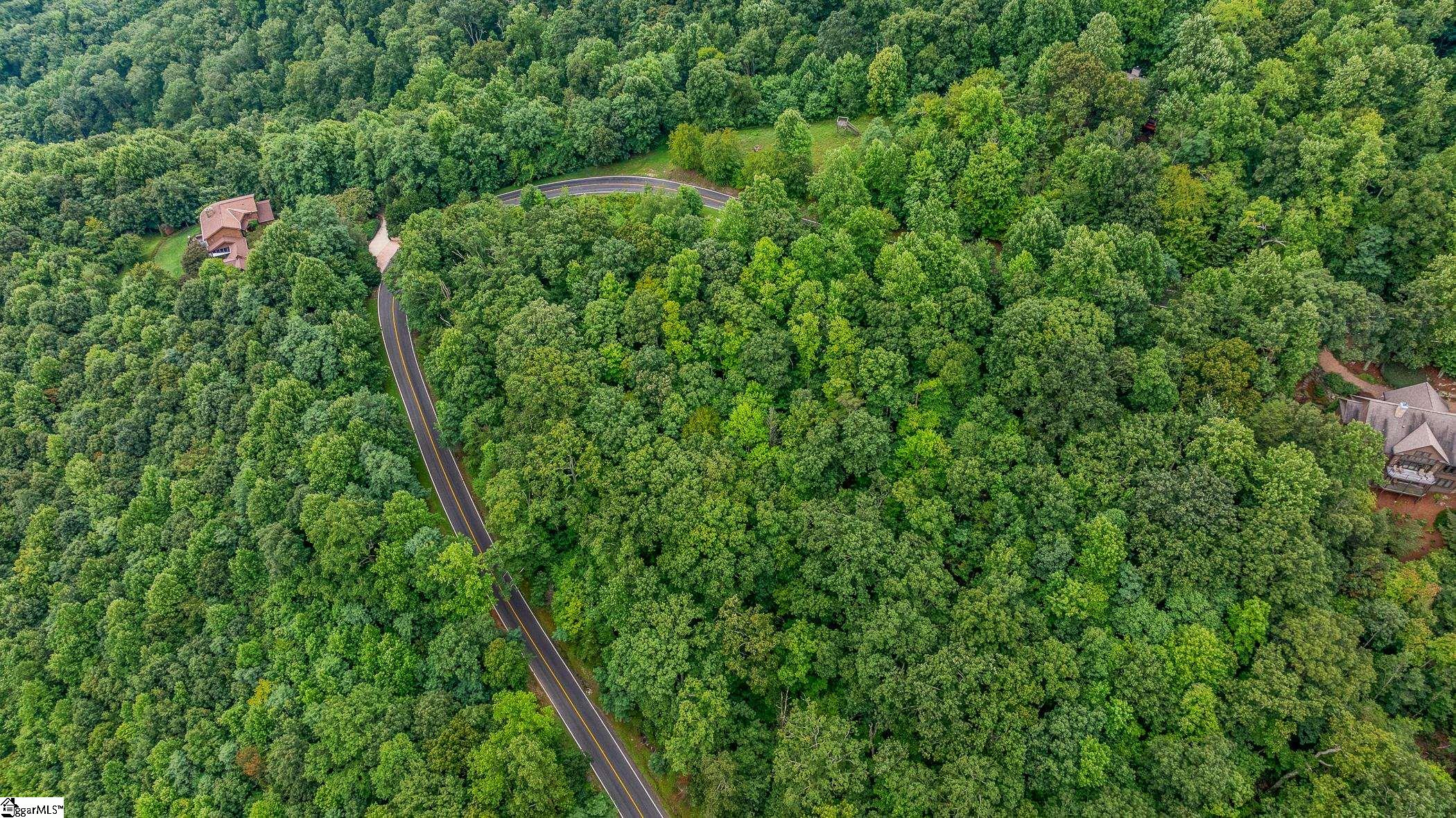 0 Foggy Cut Lane Landrum, SC 29356 - Photo 15 of 19