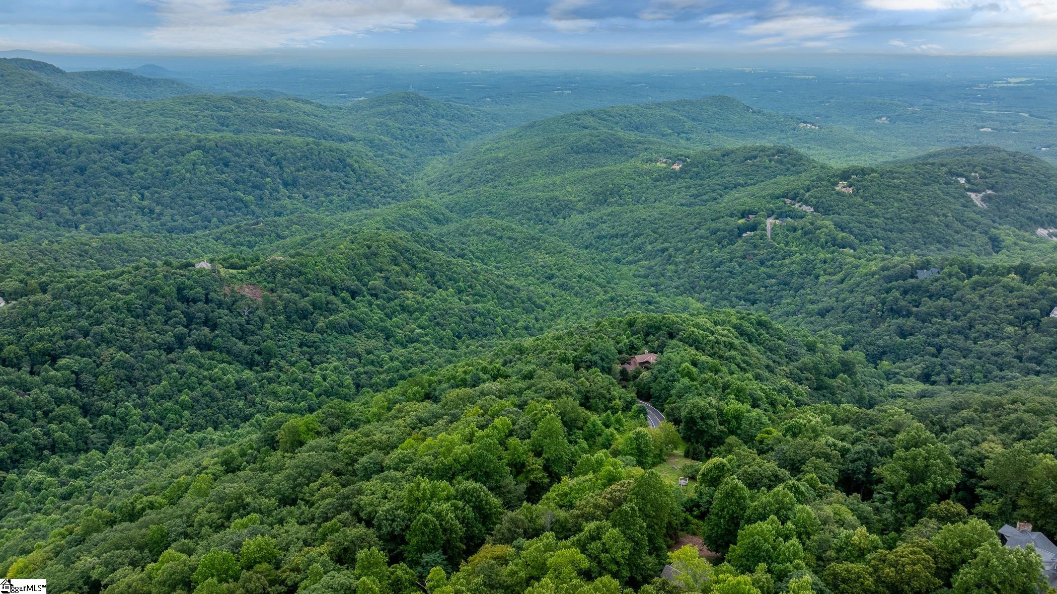 0 Foggy Cut Lane Landrum, SC 29356 - Photo 16 of 19