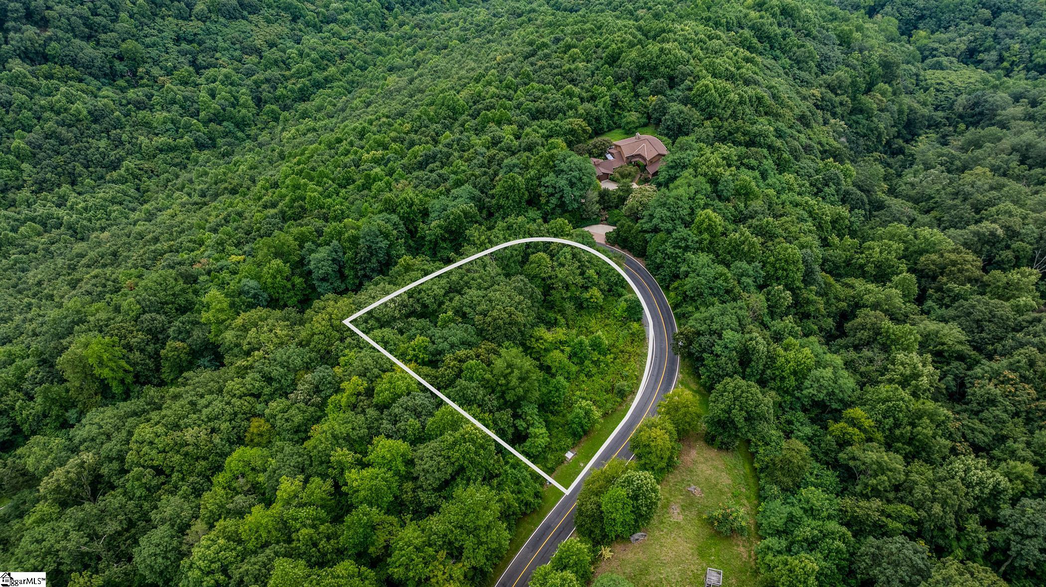 0 Foggy Cut Lane Landrum, SC 29356 - Photo 17 of 19