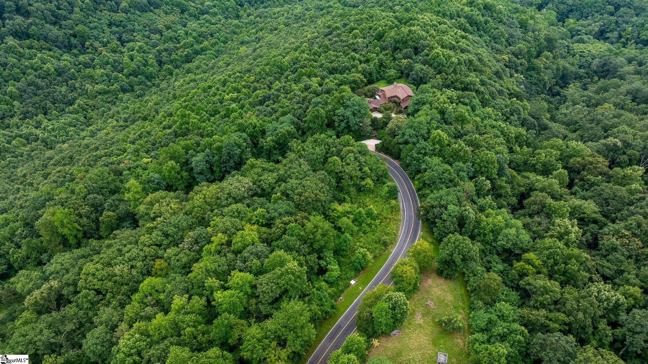 0 Foggy Cut Lane Landrum, SC 29356 - Photo 18 of 19