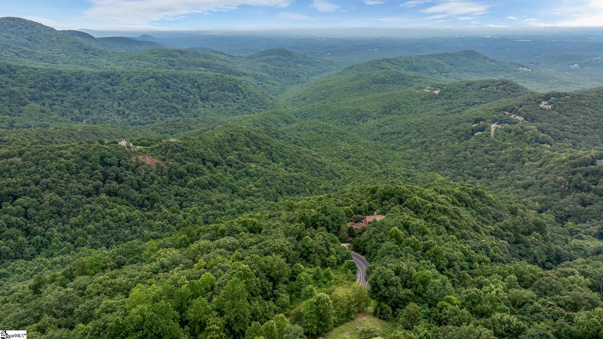 0 Foggy Cut Lane Landrum, SC 29356 - Photo 19 of 19