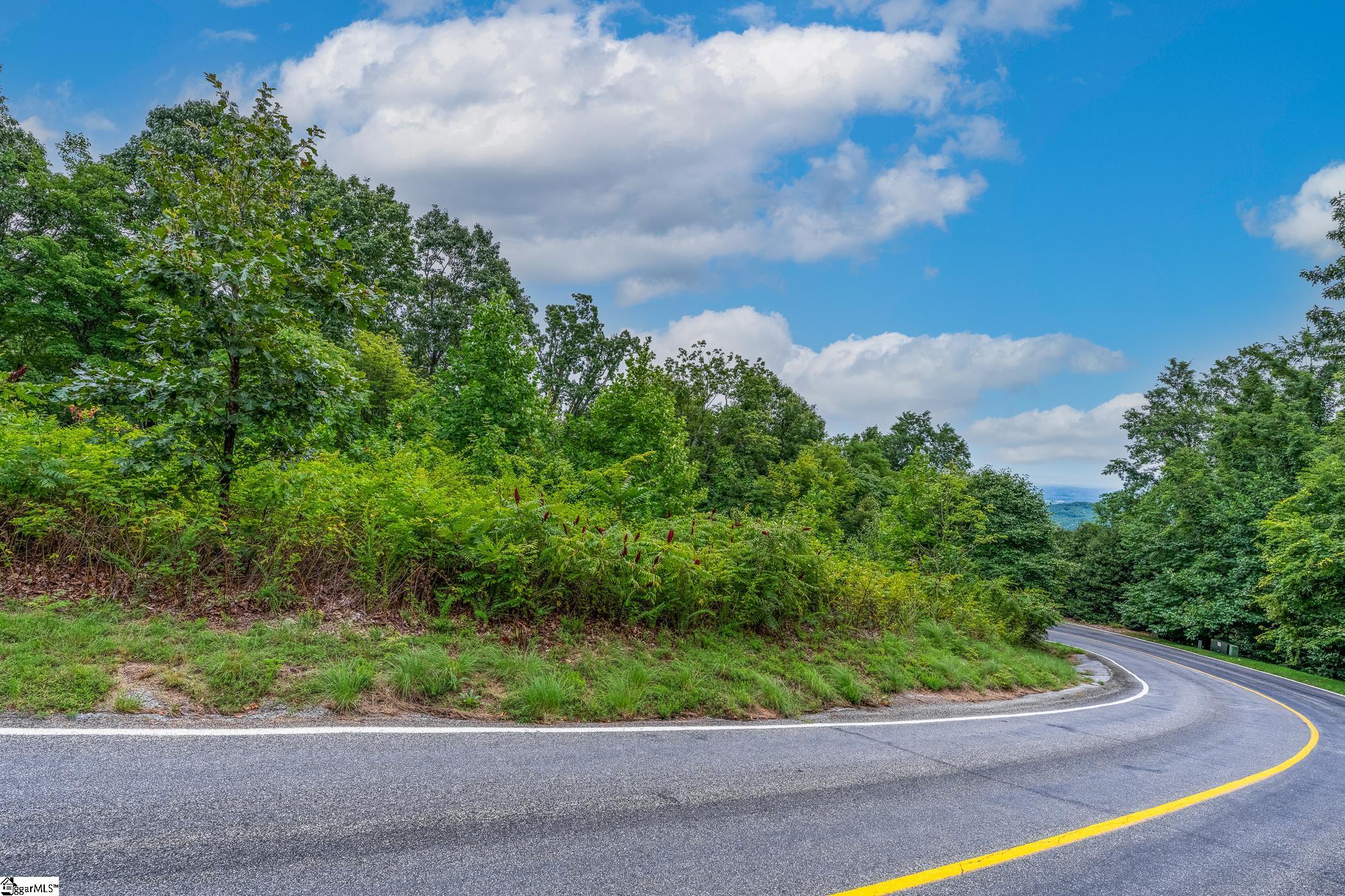 0 Foggy Cut Lane Landrum, SC 29356 - Photo 2 of 19