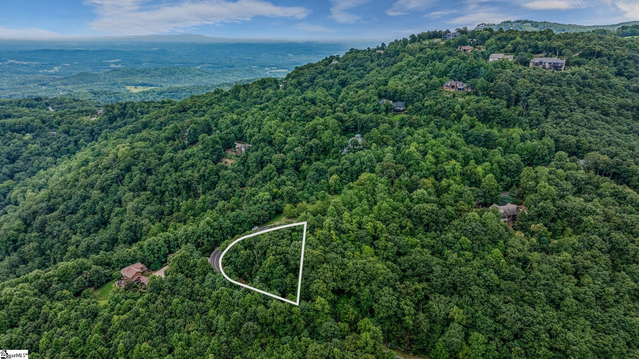 0 Foggy Cut Lane Landrum, SC 29356 - Photo 3 of 19