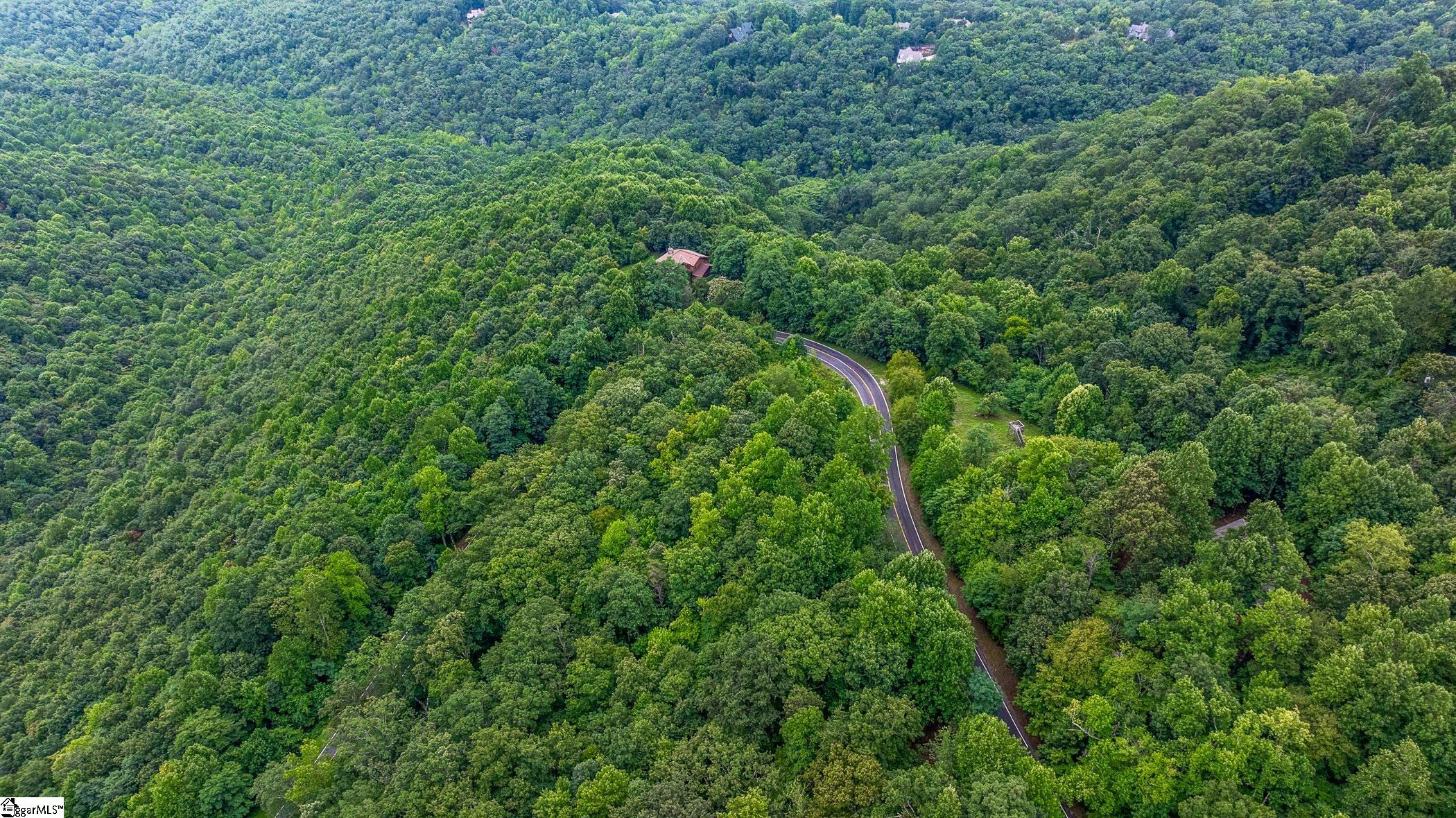 0 Foggy Cut Lane Landrum, SC 29356 - Photo 5 of 19