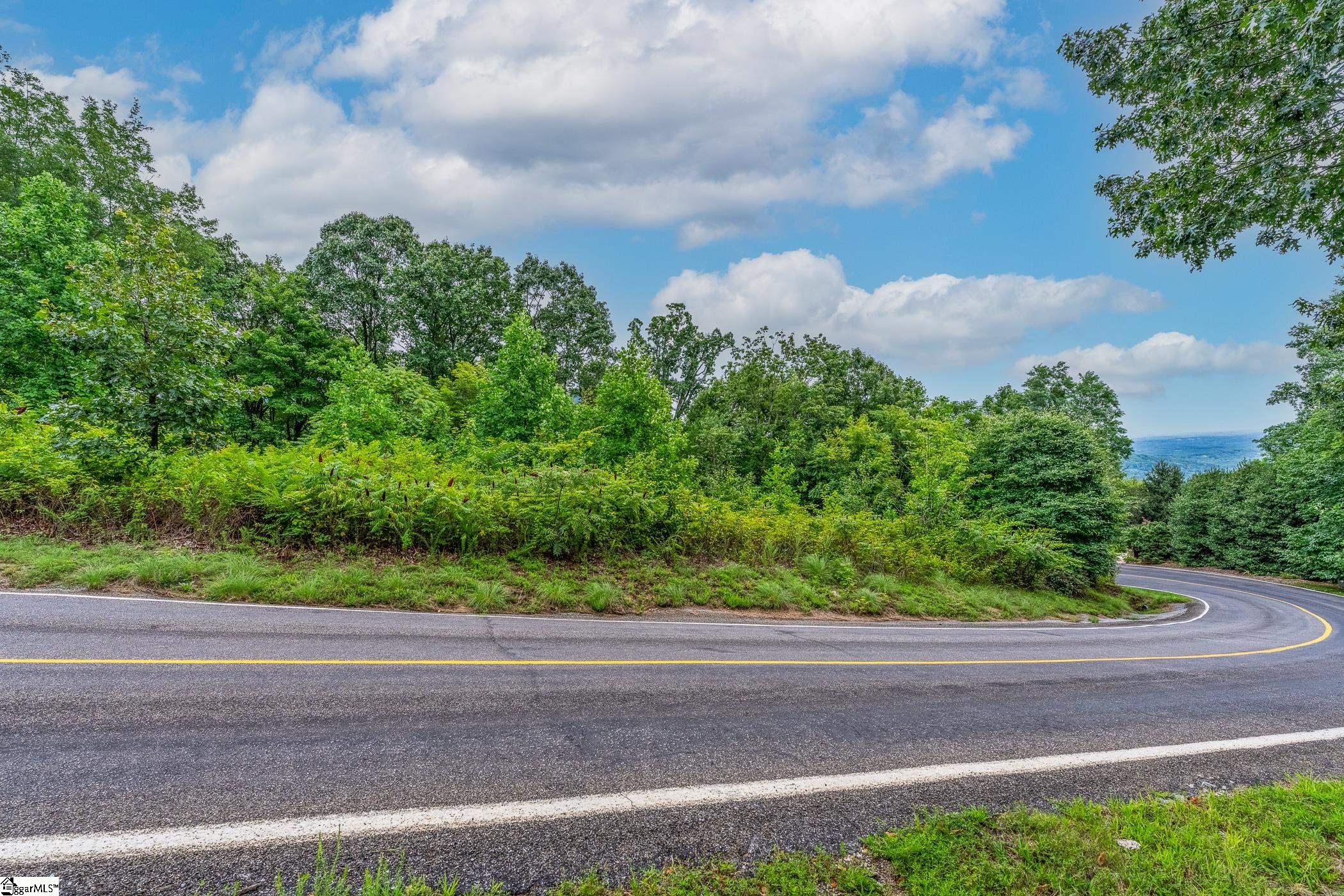 0 Foggy Cut Lane Landrum, SC 29356 - Photo 6 of 19
