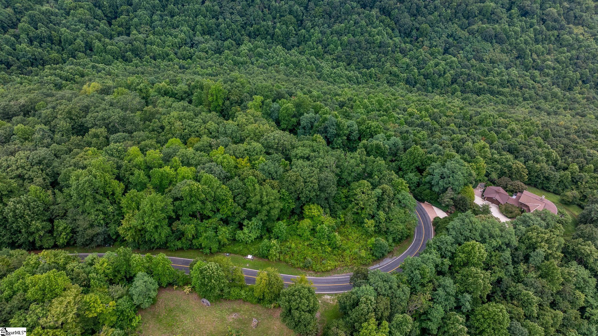 0 Foggy Cut Lane Landrum, SC 29356 - Photo 7 of 19