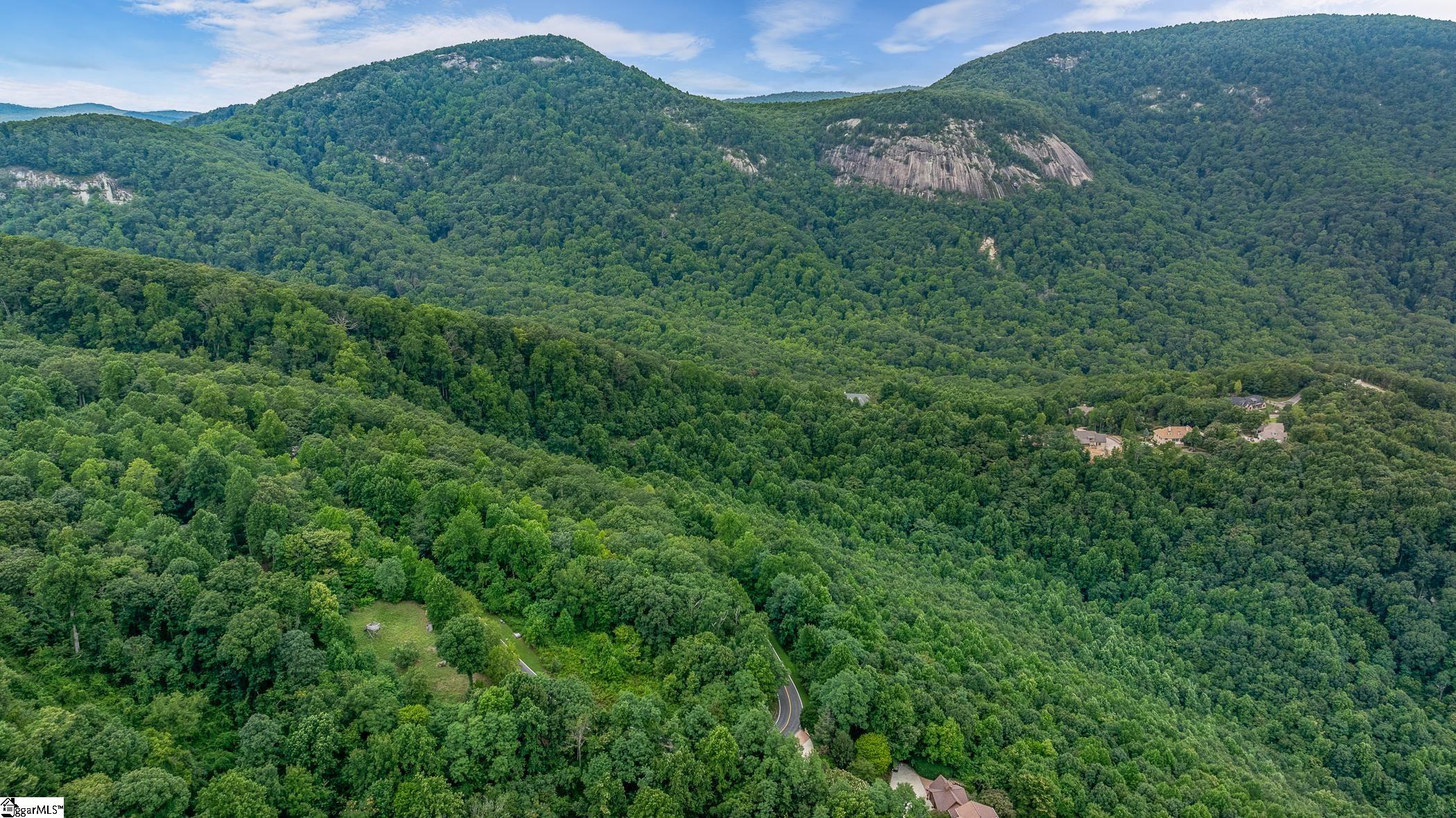 0 Foggy Cut Lane Landrum, SC 29356 - Photo 8 of 19