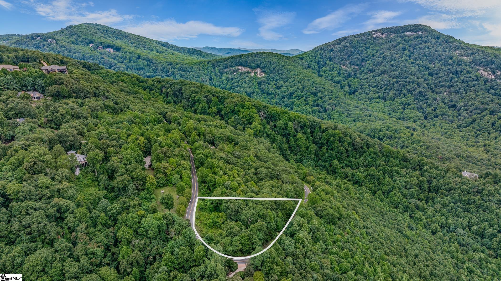 0 Foggy Cut Lane Landrum, SC 29356 - Photo 9 of 19