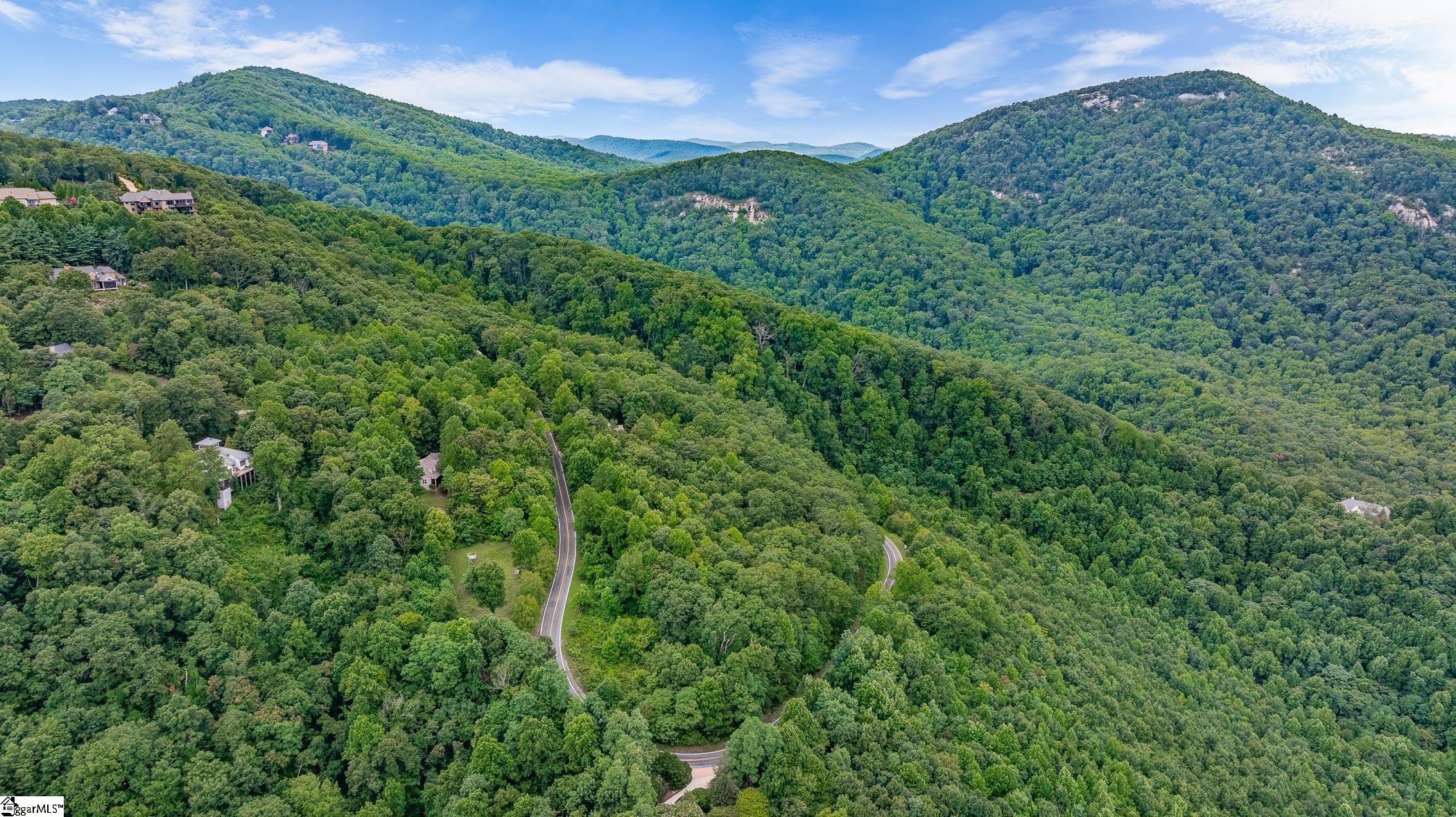0 Foggy Cut Lane Landrum, SC 29356 - Photo 10 of 19