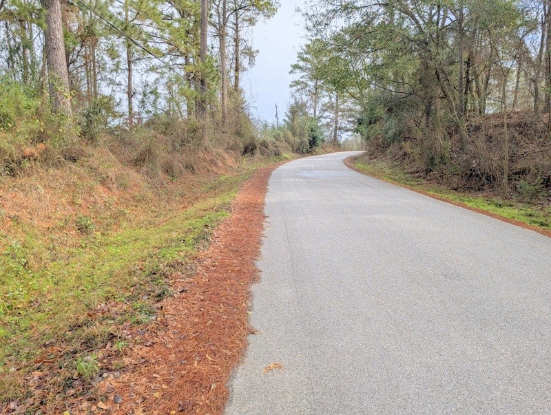 4025 Old Colony Road Huntsville, TX 77320 - Photo 11 of 12