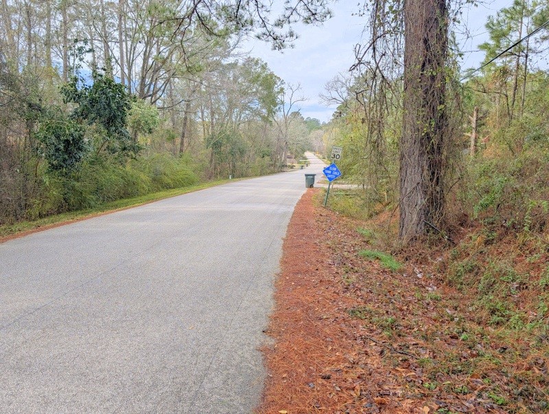 4025 Old Colony Road Huntsville, TX 77320 - Photo 12 of 12