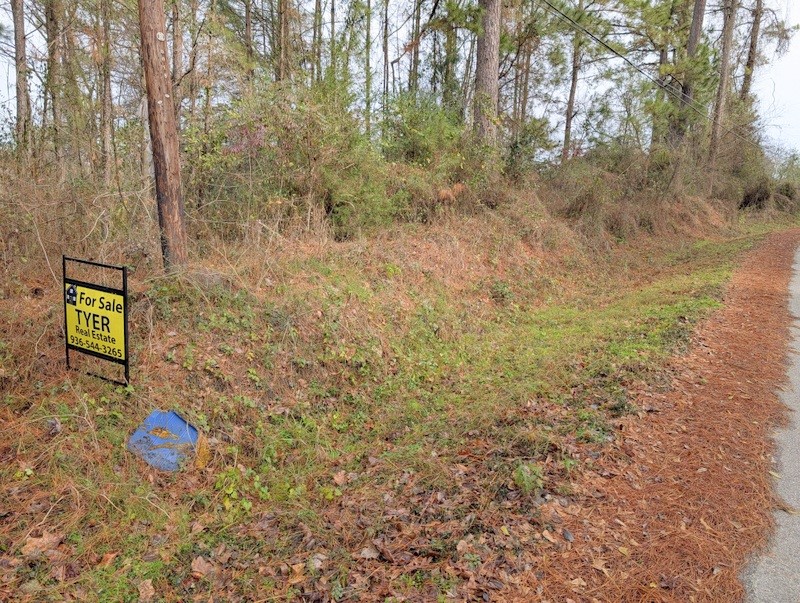 4025 Old Colony Road Huntsville, TX 77320 - Photo 2 of 12