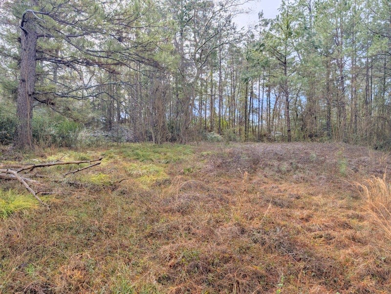 4025 Old Colony Road Huntsville, TX 77320 - Photo 3 of 12