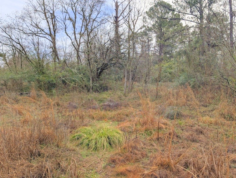 4025 Old Colony Road Huntsville, TX 77320 - Photo 9 of 12