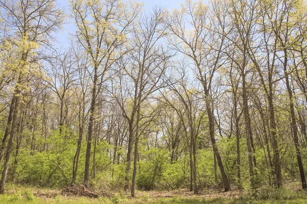 $83,900 | 806 Echo (lot 22) Trail, Marengo, IL 60152