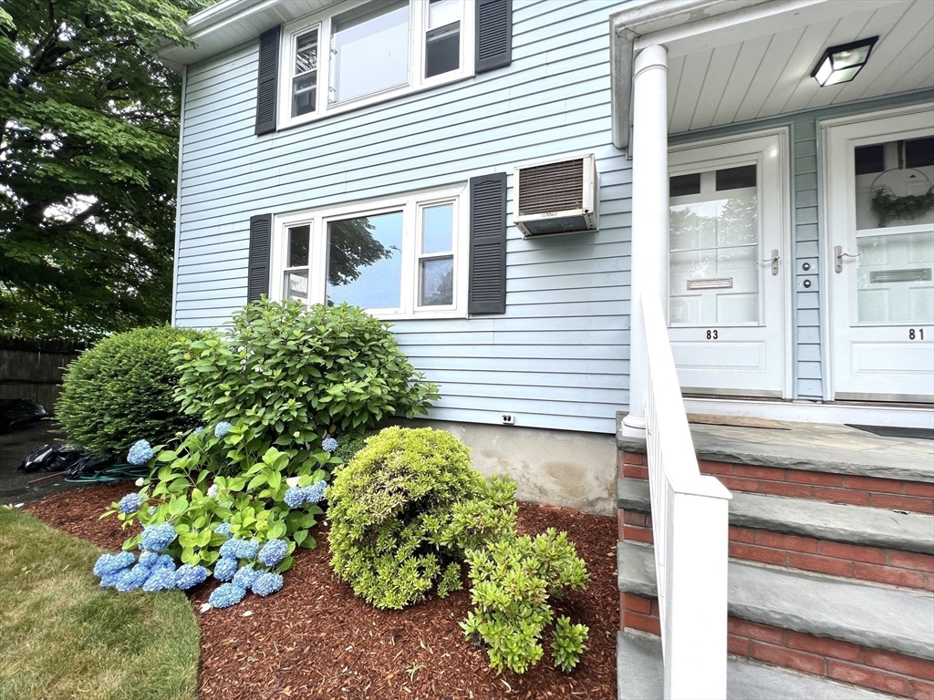 83 Ralph Street, Unit 1 Watertown, MA 02472 - Photo 29 of 29