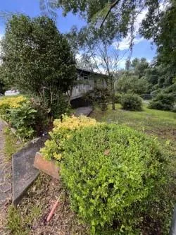 a view of a garden with an trees