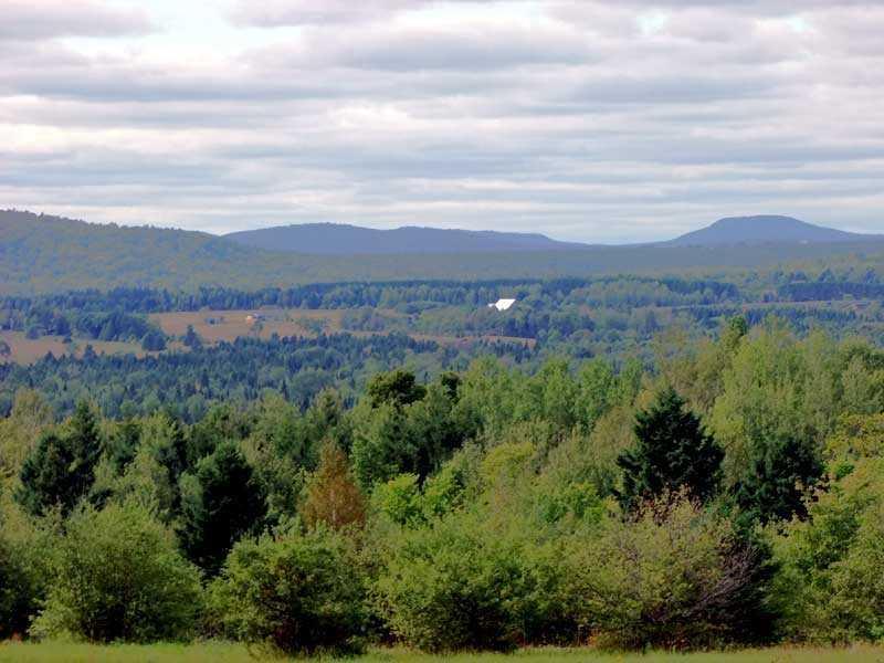 Lot 18 Thompson Settlement Road Oakfield, ME 04763 - Photo 4 of 19 Land.