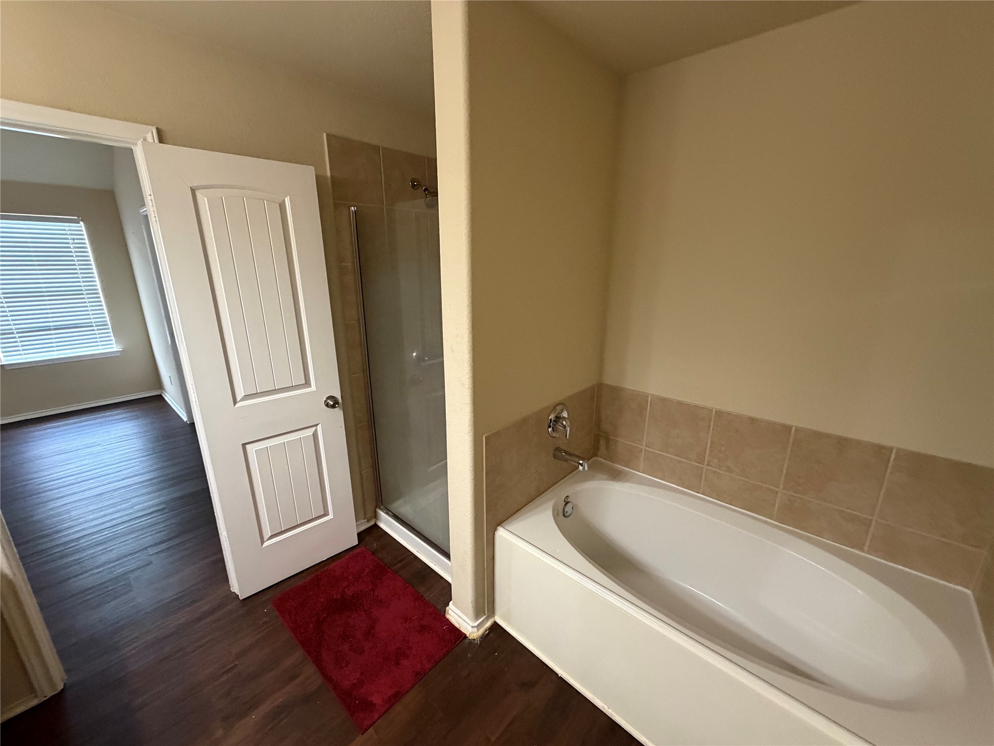 18436 Cloudmore Lane Elgin, TX 78621 - Photo 10 of 21