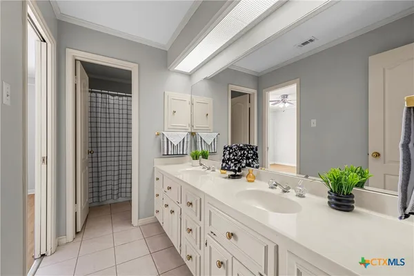 a bathroom with a sink a potted plant and a window