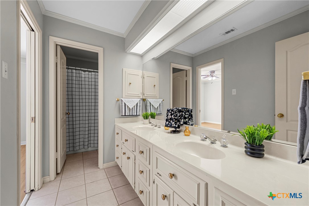 3601 Willow Bend Circle Waco, TX 76708 - Photo 25 of 37 a bathroom with a sink a potted plant and a window