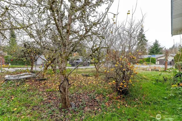 a view of a yard with plants and trees