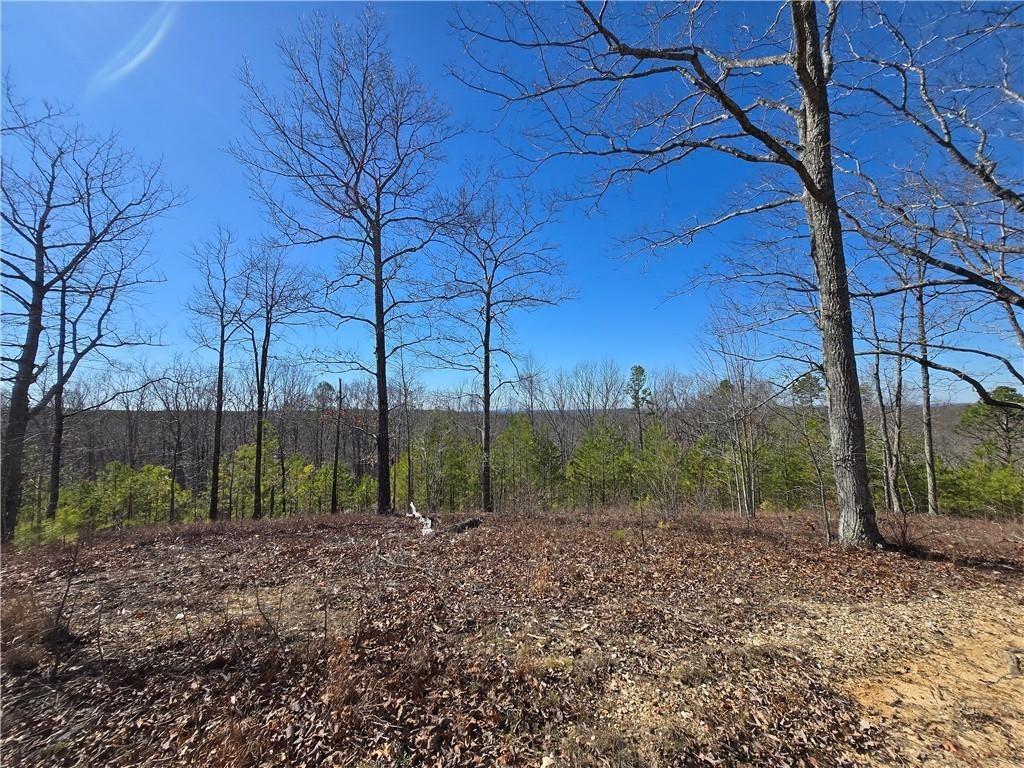 0 Brushy Mountain Road Rockmart, GA 30153 - Photo 9 of 10 a view of outdoor space
