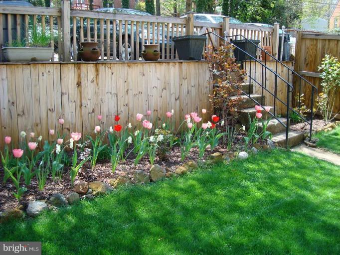6215 Frederick Road Catonsville, MD 21228 - Photo 10 of 23 Back yard