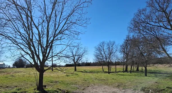 a view of yard with tree in the background