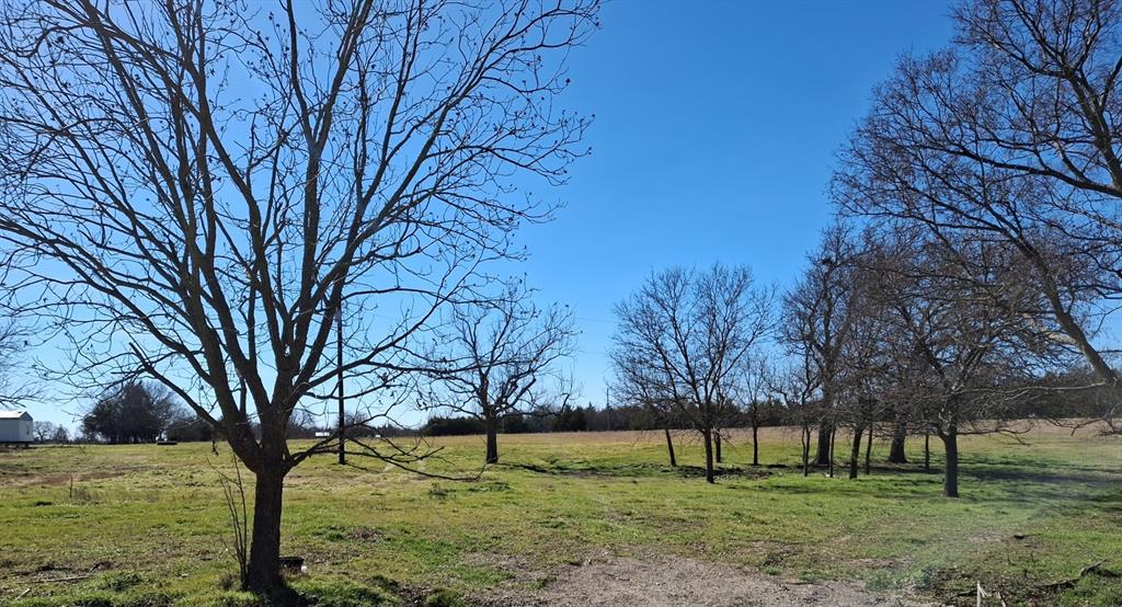 9436 Dripping Springs Road Denison, TX 75021 - Photo 2 of 4 a view of yard with tree in the background