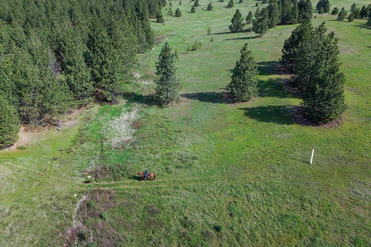 Tbd East Belmont Road Mica, WA 99023 - Photo 22 of 27