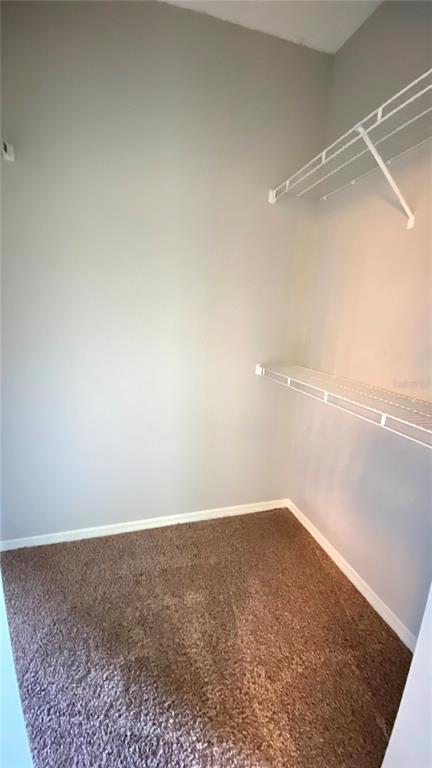 1043 Normandy Trace Road Tampa, FL 33602 - Photo 15 of 29