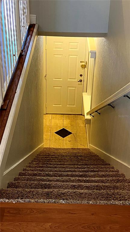 1043 Normandy Trace Road Tampa, FL 33602 - Photo 3 of 29