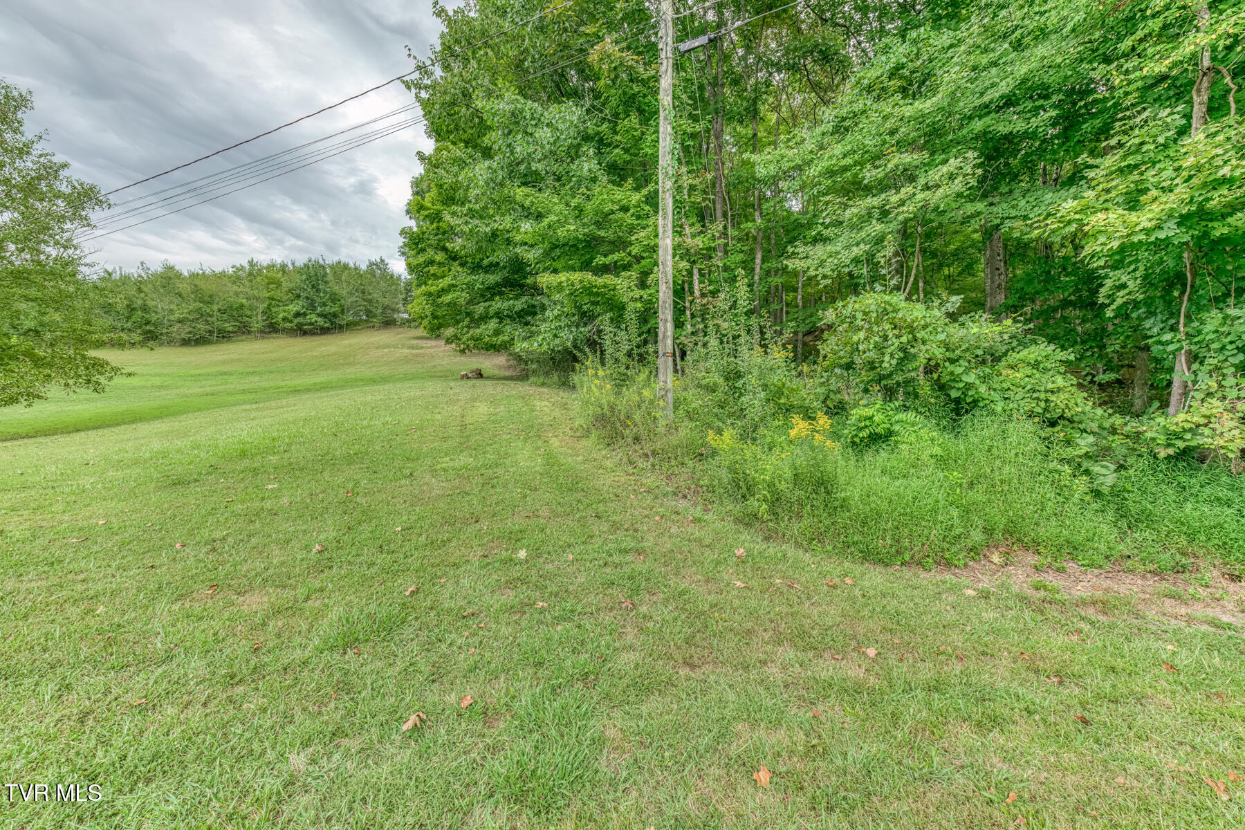 460-346 Austin Powder Road Blountville, TN 37617 - Photo 7 of 60 346 & 460 Austin Powder Rd-66