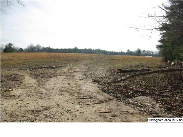 2 Horton Mill Road, Unit 2 Cleveland, AL 35049 - Photo 4 of 28