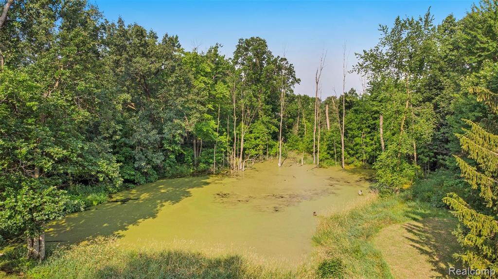 5440 Green Road Fenton, MI 48430 - Photo 42 of 44