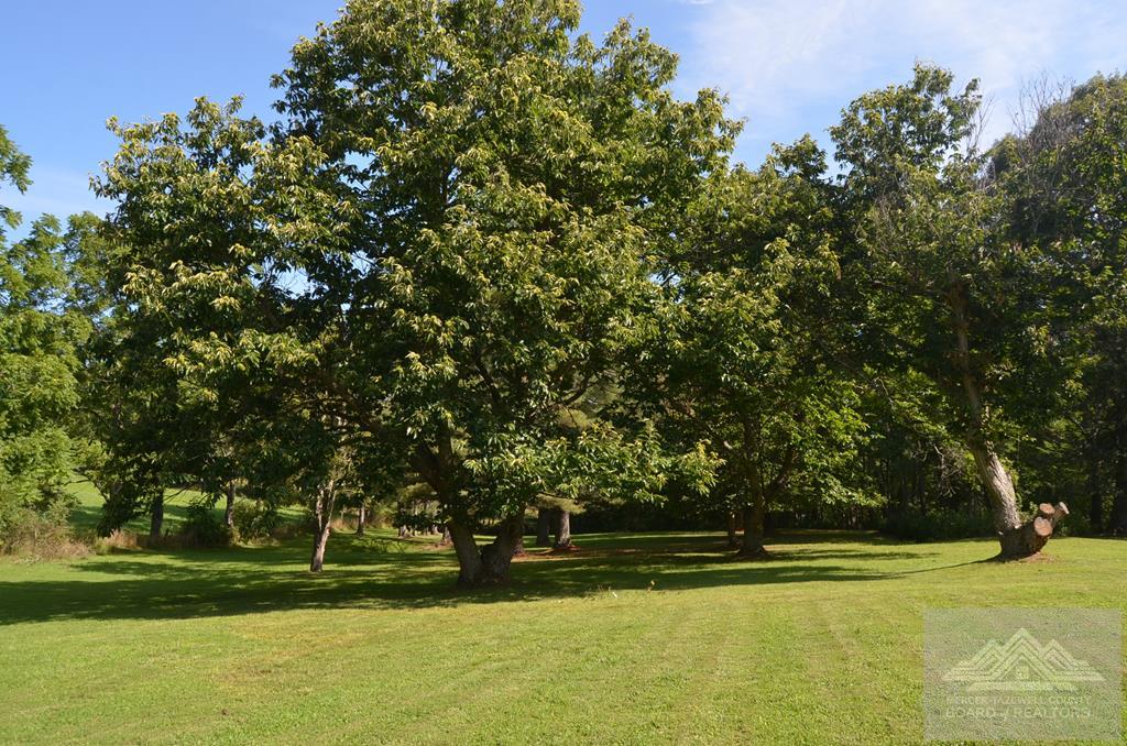 7697 Beech Run Road Hinton, WV 25951 - Photo 9 of 33 Gallery Image 9