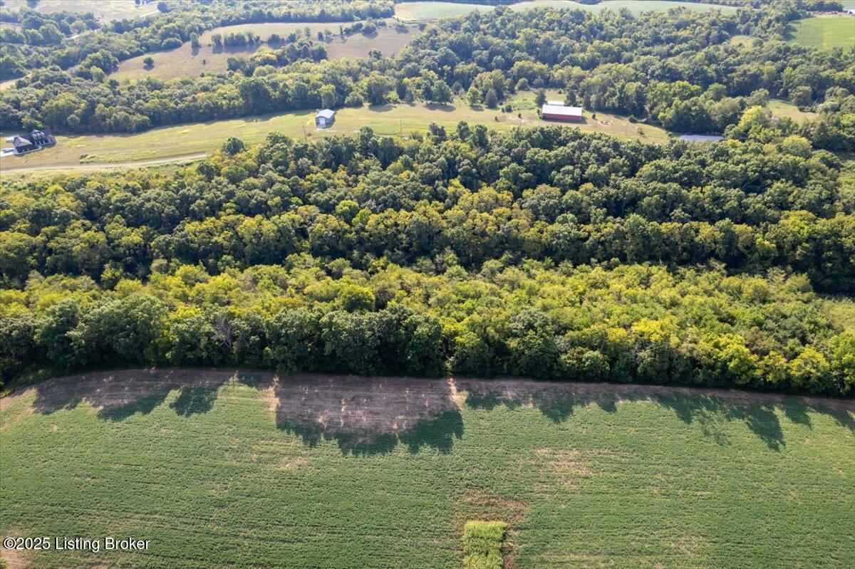 365 Roby Rdg Road Coxs Creek, KY 40013 - Photo 37 of 44 09-DJI_0264_fullres