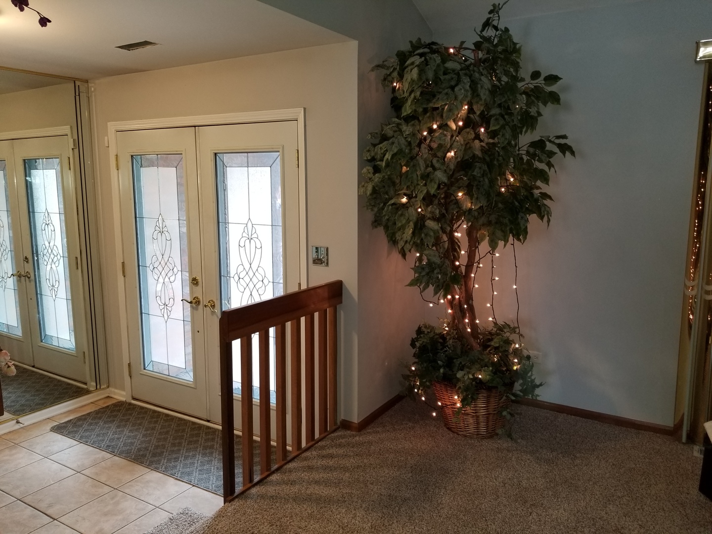 161 Red Barn Road Matteson, IL 60443 - Photo 3 of 10 a view of a porch with a potted plant