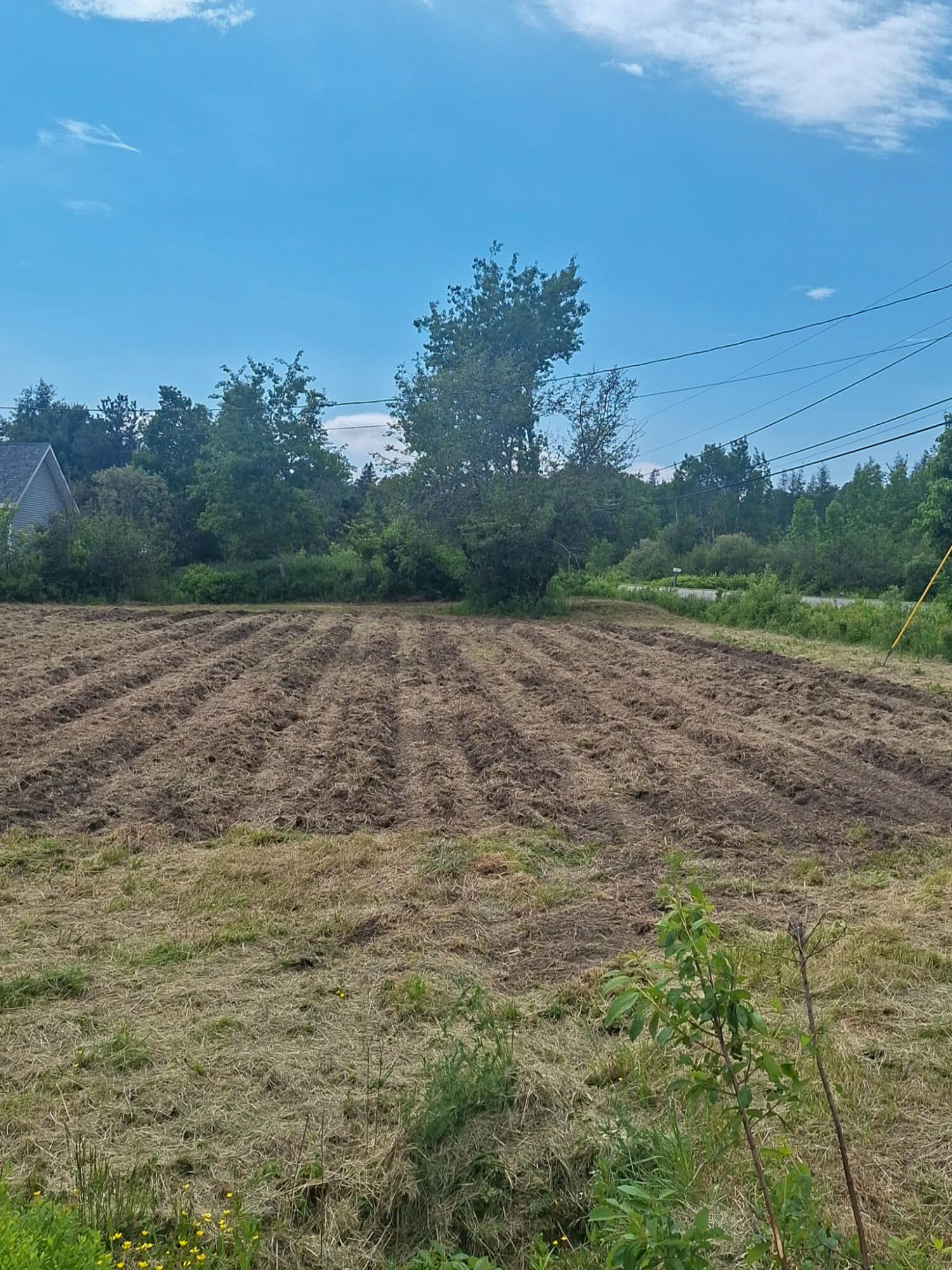 M3-l19 Cross Road Dennysville, ME 04628 - Photo 5 of 12 7546394352491786215