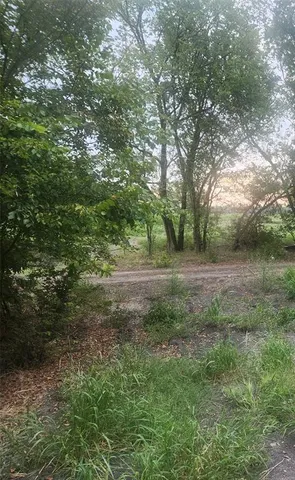 a view of backyard with green space