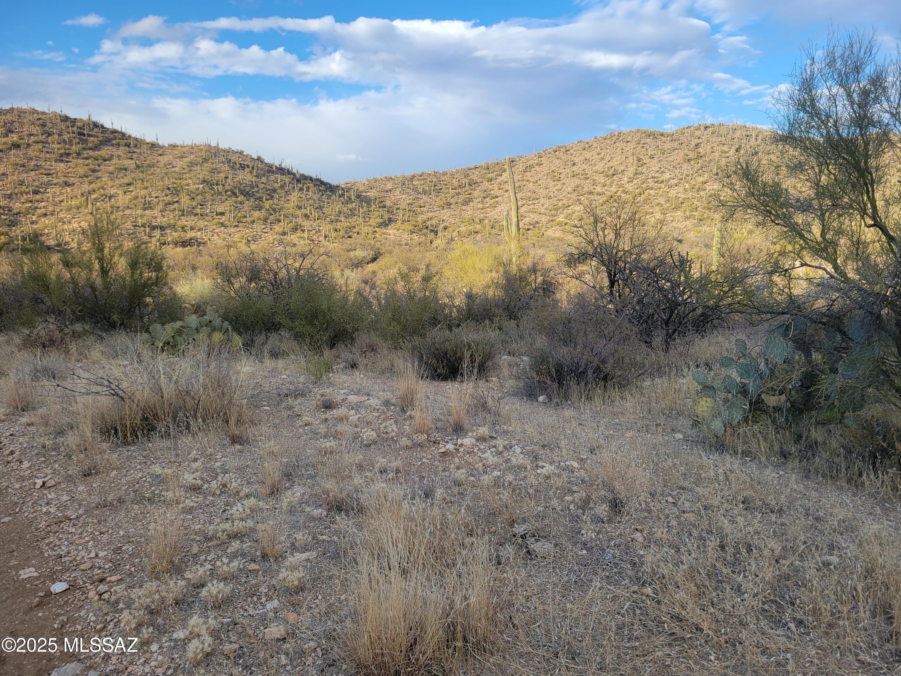 Tbd South McQueen Ranch Road Marana, AZ 85658 - Photo 9 of 16