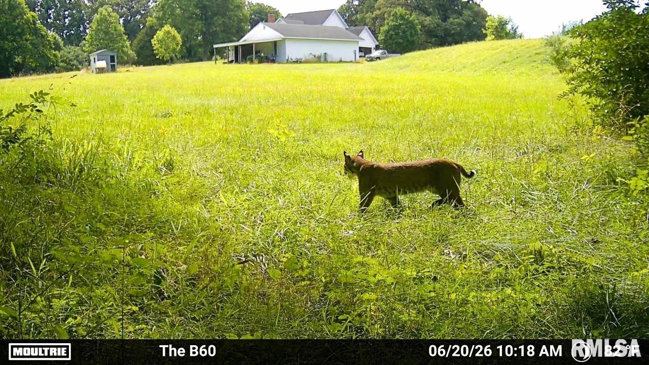 9081 Old State Rte 14 Du Quoin, IL 62832 - Photo 65 of 67