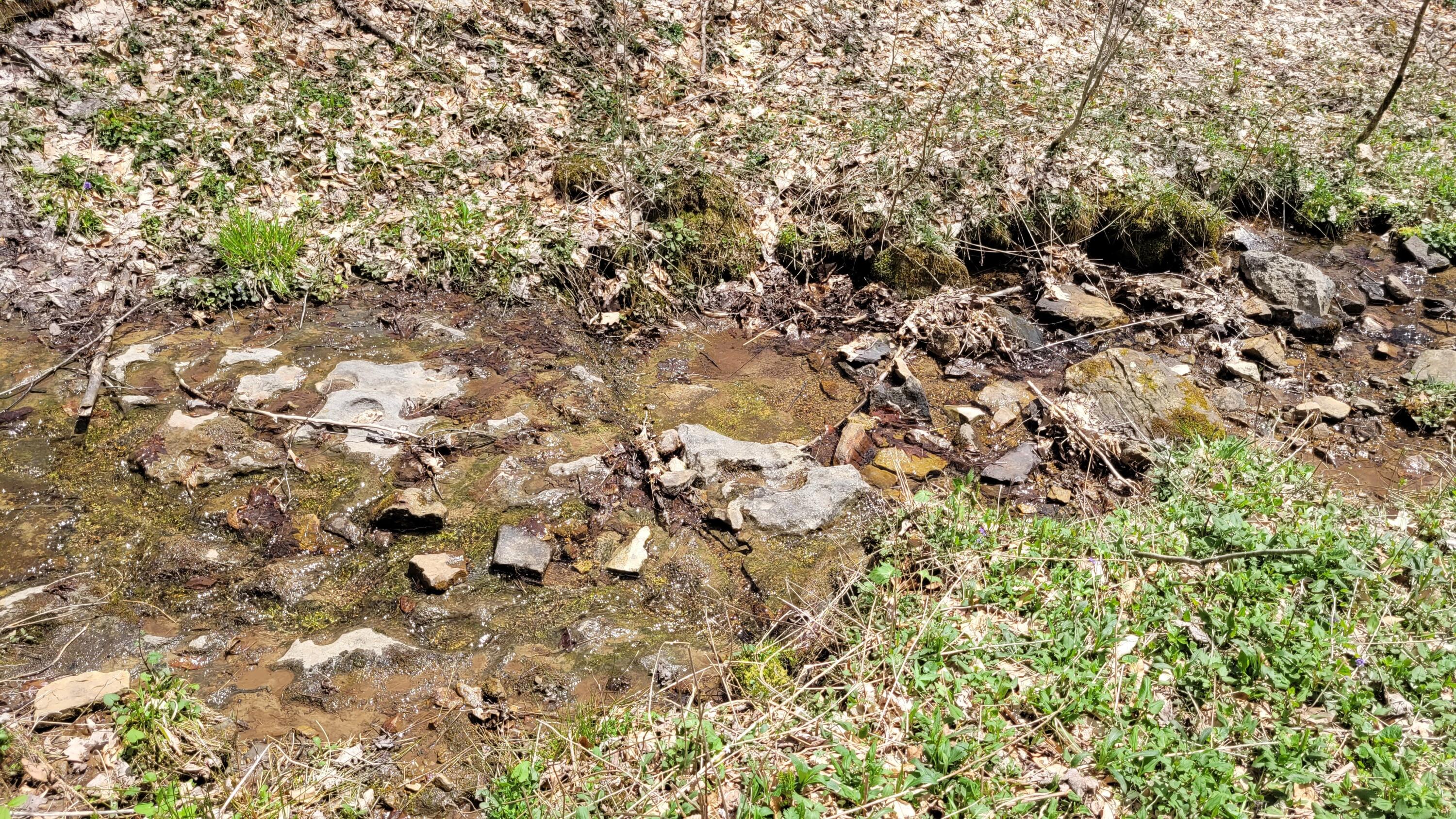 Dry Branch Road Valley Head, WV 26294 - Photo 12 of 24 Gallery Image 12